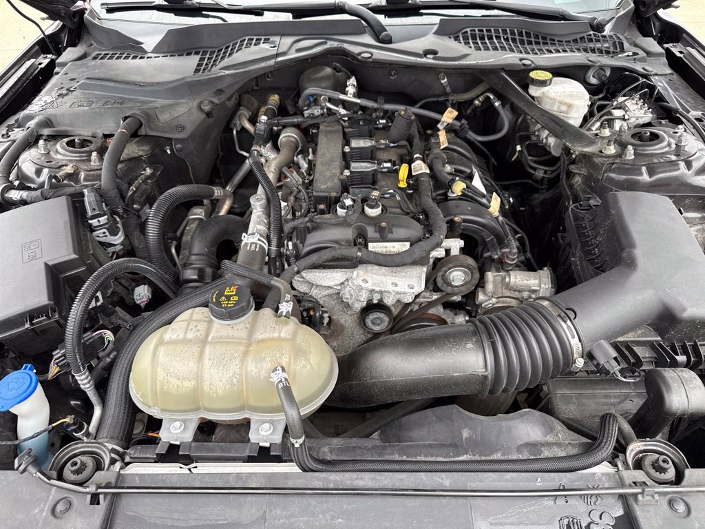 Used 2022 Ford Mustang Premium RWD image 50