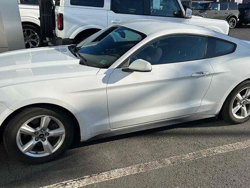 Used 2017 Ford Mustang Coupe image 2