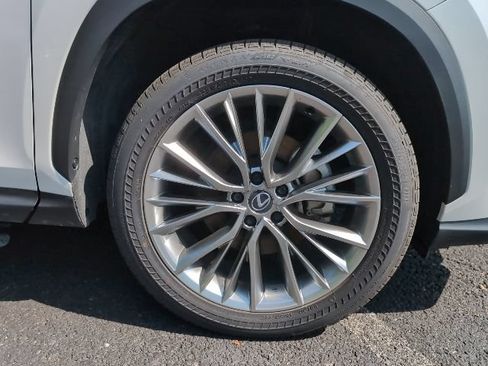 Used 2025 Lexus NX 350h AWD w/ Cold Area Package image 6