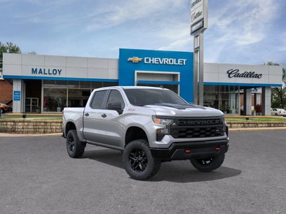 New 2026 Chevrolet Silverado 1500 Custom Trail Boss