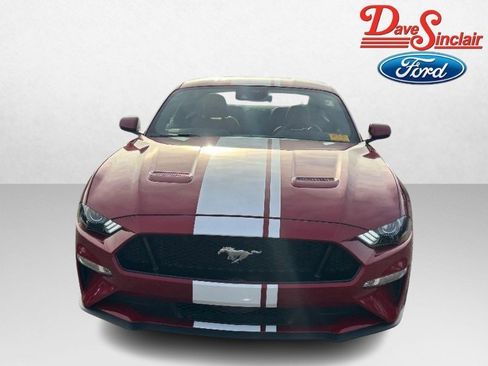 Used 2023 Ford Mustang GT Premium w/ Equipment Group 401A image 2