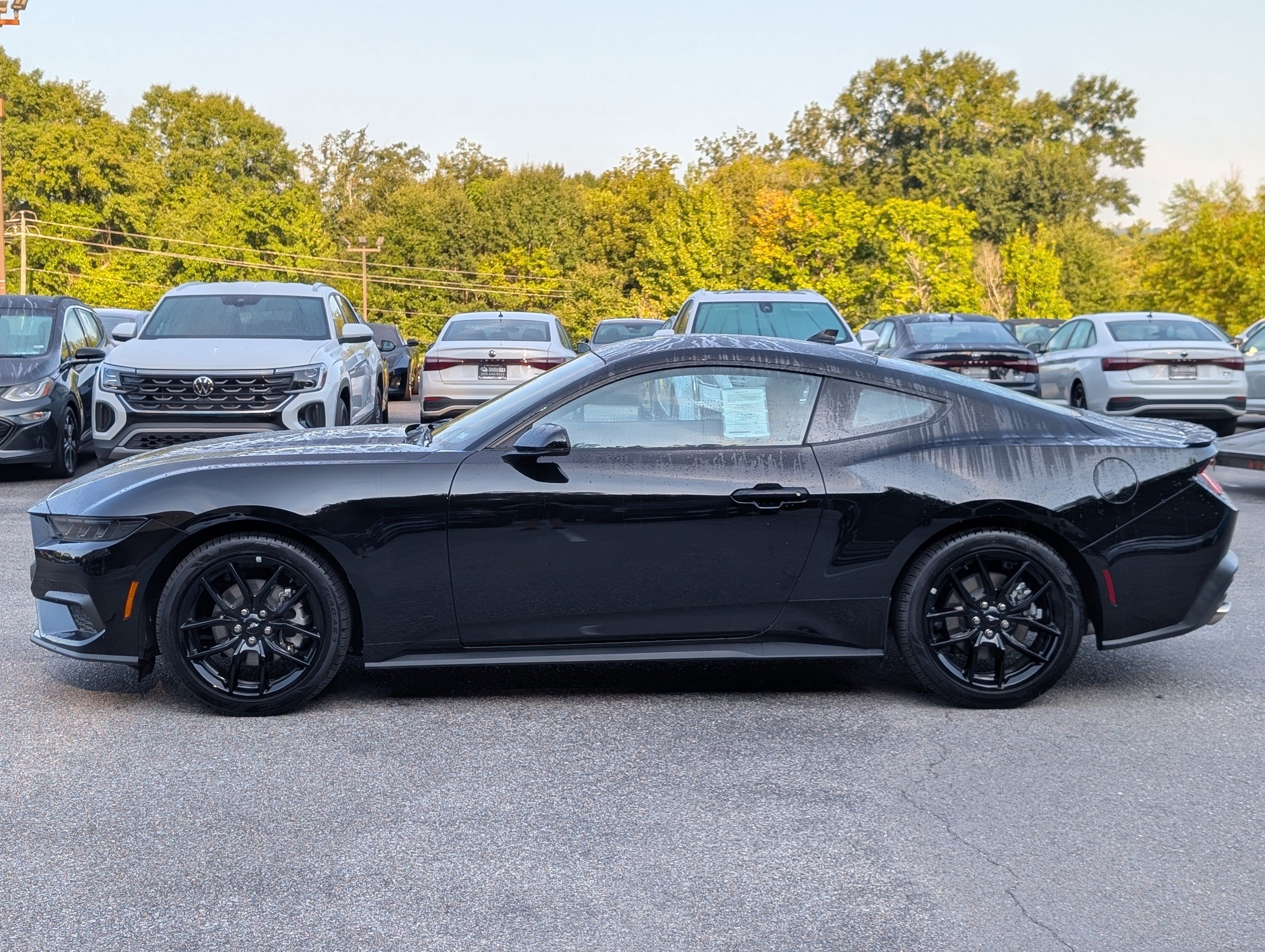 Used 2026 Ford Mustang Premium RWD image 6