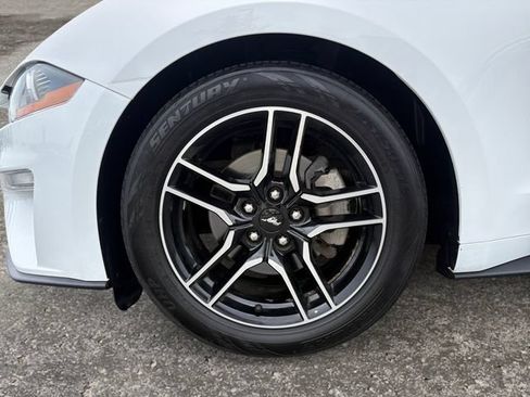 Used 2021 Ford Mustang Premium RWD image 14
