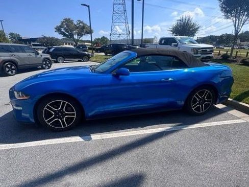 Used 2019 Ford Mustang Premium w/ Equipment Group 201A RWD image 3