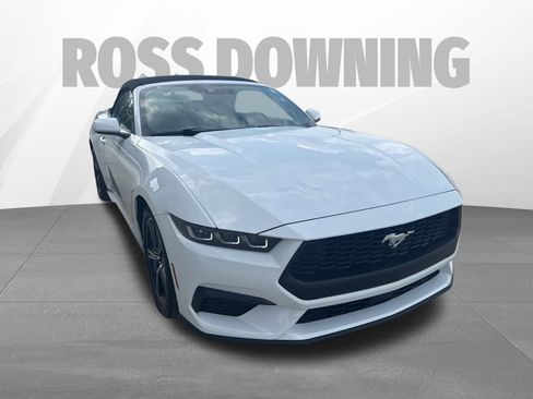 Used 2025 Ford Mustang Premium image 9