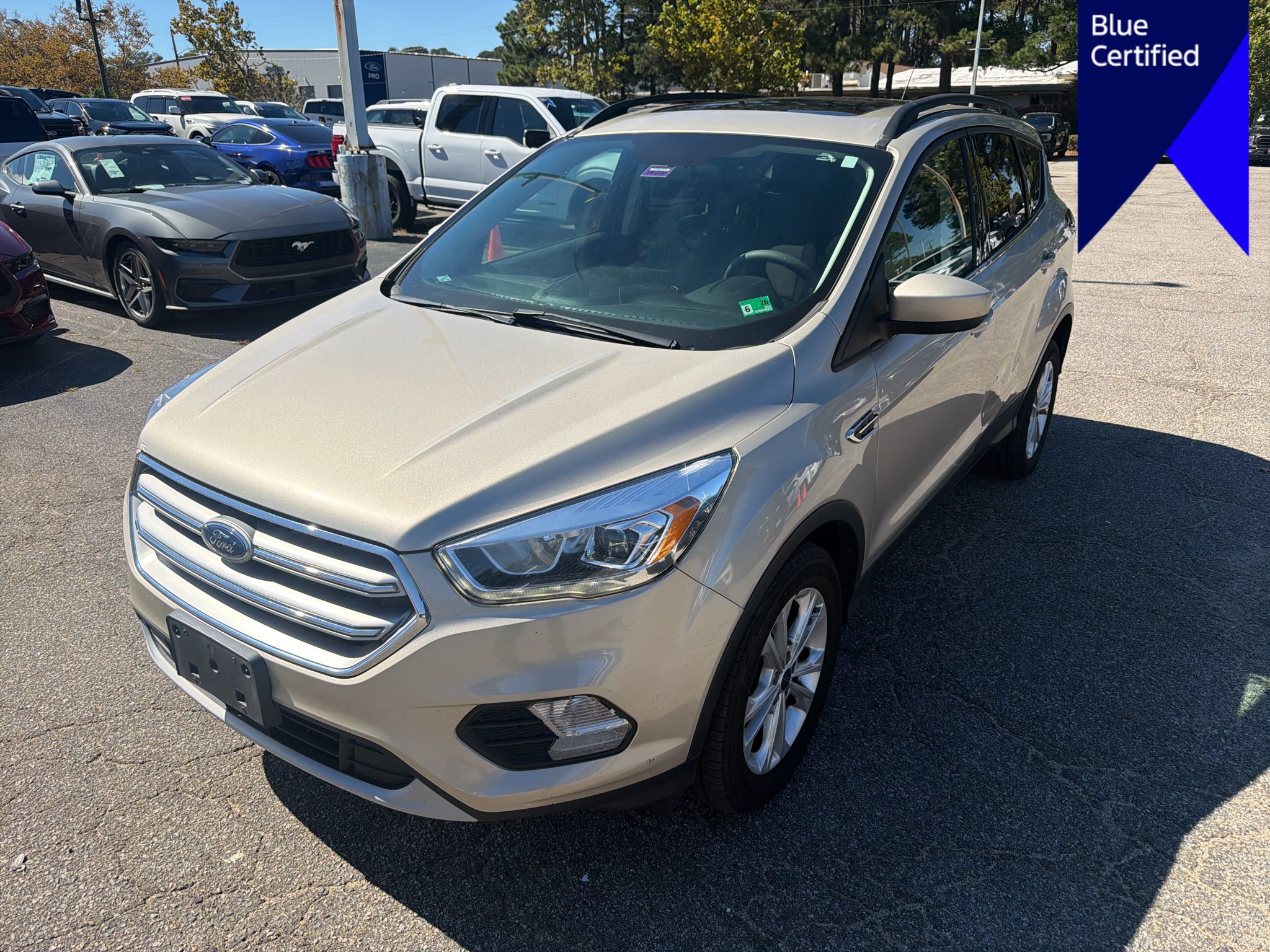 Used 2017 Ford Escape SE w/ Equipment Group 201A AWD/4WD image 1