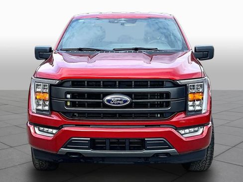 Used 2023 Ford F150 XLT w/ Equipment Group 302A High AWD/4WD image 4