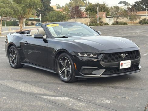 Used 2024 Ford Mustang Premium image 6