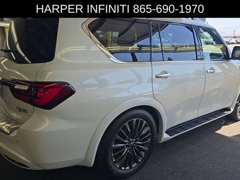 Used 2023 INFINITI QX80 Premium Select w/ Cargo Package AWD/4WD image 3