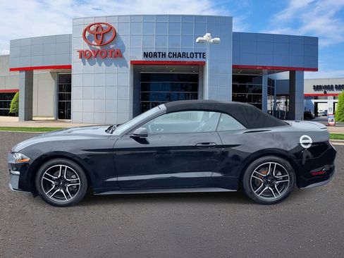 Used 2019 Ford Mustang Premium image 5