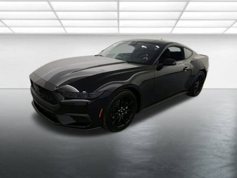 New 2026 Ford Mustang Coupe w/ Mustang Nite Pony Package RWD image 3