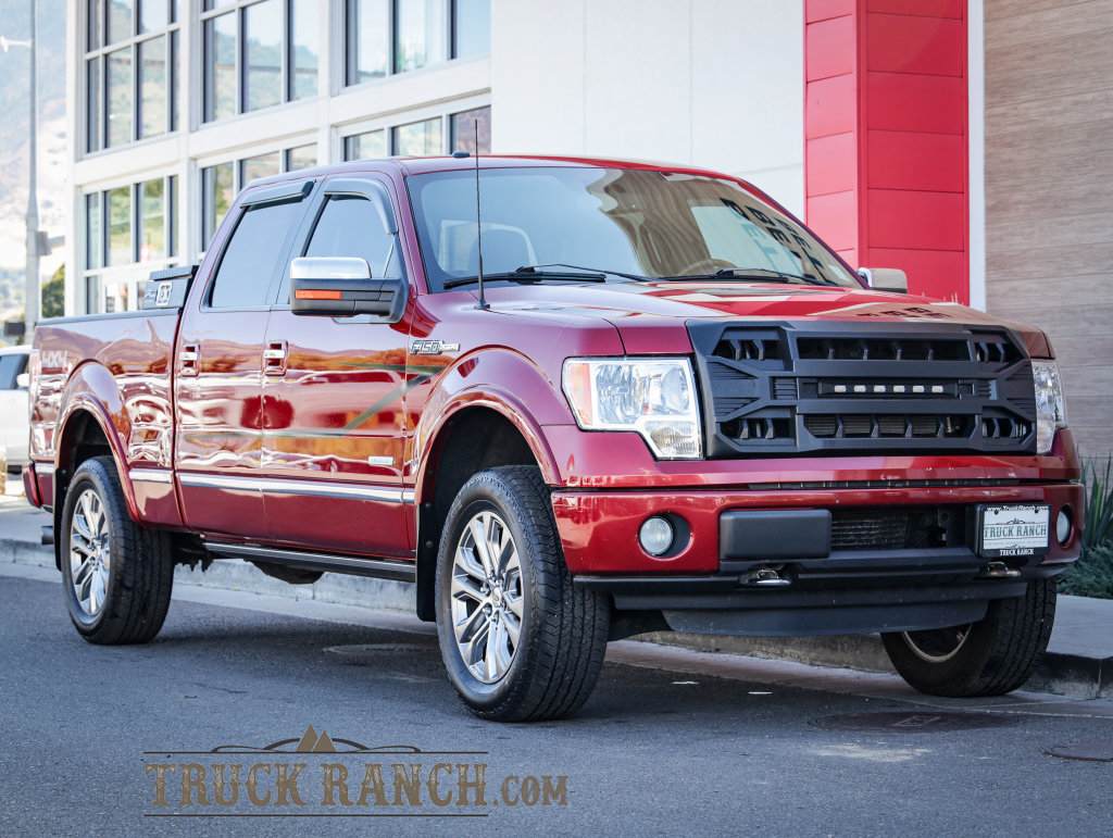 Used 2013 Ford F150 Platinum AWD/4WD image 1
