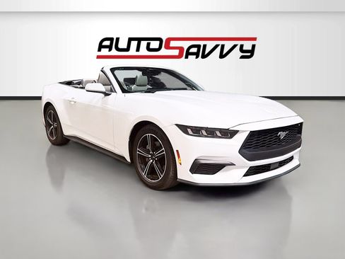 Used 2024 Ford Mustang Premium RWD image 1