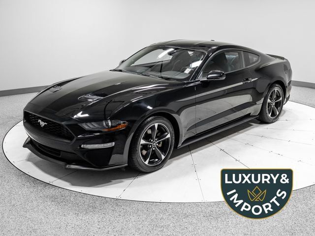 Used 2018 Ford Mustang Coupe w/ Equipment Group 101A RWD image 1