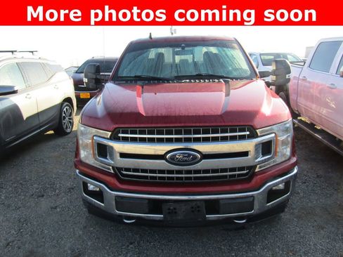 Used 2019 Ford F150 XLT w/ Equipment Group 302A Luxury image 8
