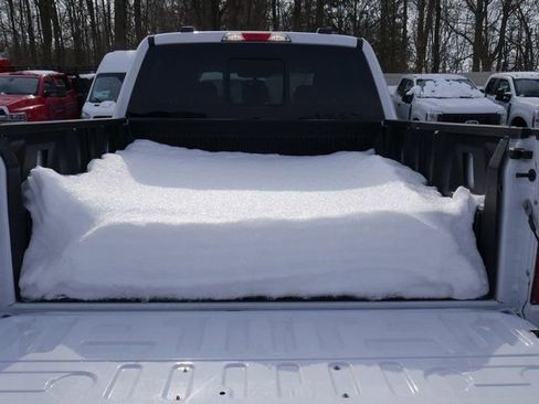 New 2025 Ford F150 Tremor image 11