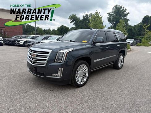 Used 2019 Cadillac Escalade Platinum AWD/4WD image 1