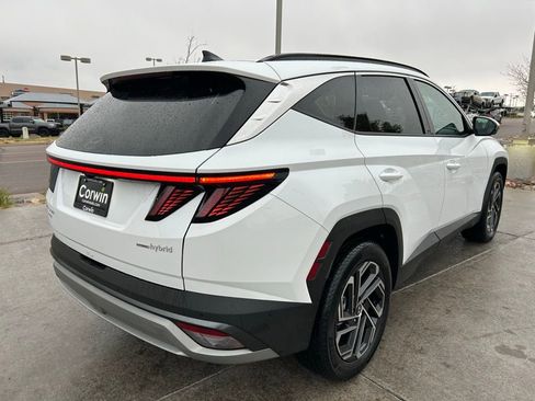 Used 2025 Hyundai Tucson Limited AWD/4WD image 8