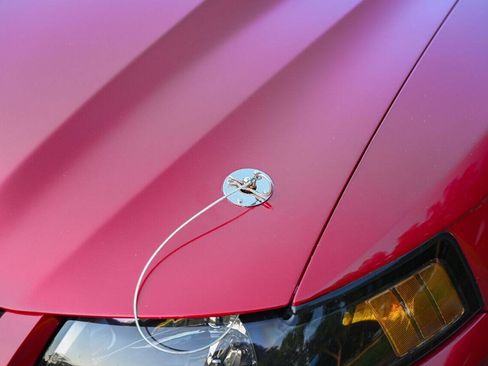 Used 2003 Ford Mustang Cobra RWD image 40