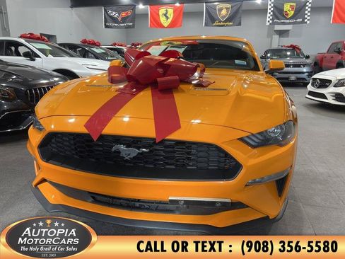 Used 2019 Ford Mustang Coupe RWD image 1