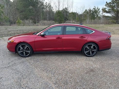 Used 2024 Honda Accord Sport image 5