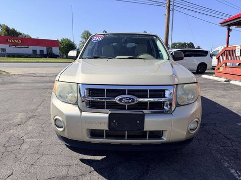 Used 2011 Ford Escape XLT w/ 203A Rapid Spec Order Code AWD/4WD image 2