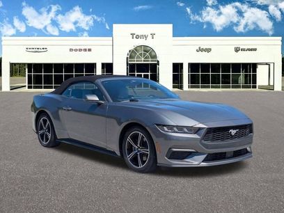 Used 2024 Ford Mustang Premium