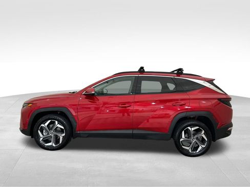 Used 2023 Hyundai Tucson Limited AWD/4WD image 2