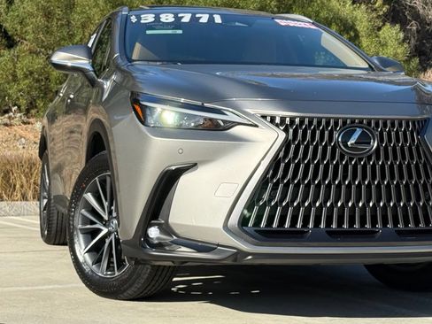 Certified 2025 Lexus NX 250 FWD w/ Cold Area Package image 7