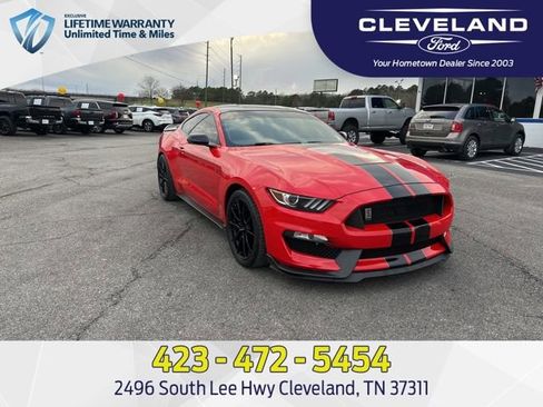Used 2019 Ford Mustang Shelby GT350 w/ Technology Package image 1