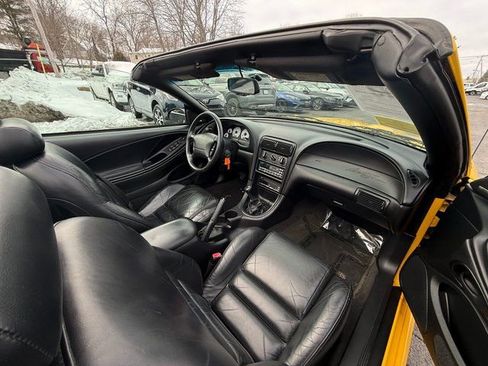 Used 1998 Ford Mustang Cobra image 2