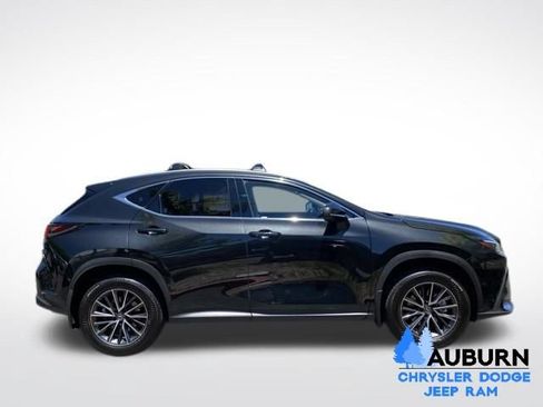 Used 2025 Lexus NX 350h AWD w/ Cold Area Package image 8