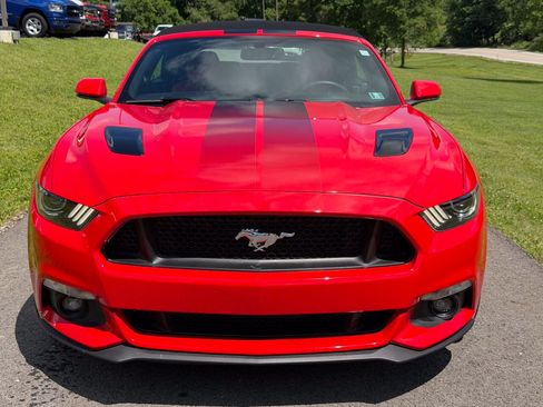 Used 2017 Ford Mustang GT Premium w/ Equipment Group 401A RWD image 13