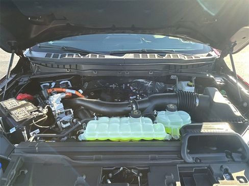 New 2026 Ford F150 Platinum w/ Equipment Group 701A Base image 31