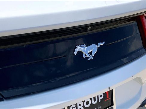 Used 2019 Ford Mustang Coupe RWD image 28