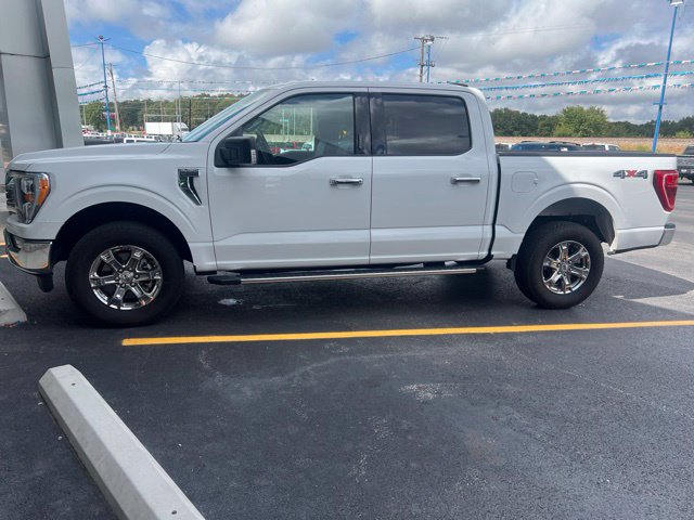 Used 2023 Ford F150 XLT w/ Equipment Group 302A High AWD/4WD image 2