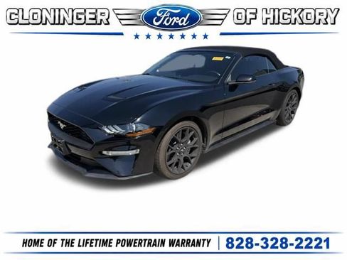 Used 2019 Ford Mustang Premium w/ Ecoboost Performance Package RWD image 1