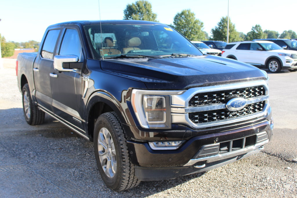 Used 2021 Ford F150 Platinum w/ Equipment Group 701A High AWD/4WD image 8