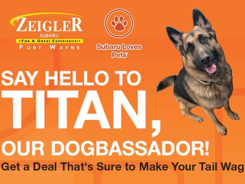 New 2026 Subaru Forester Limited image 44