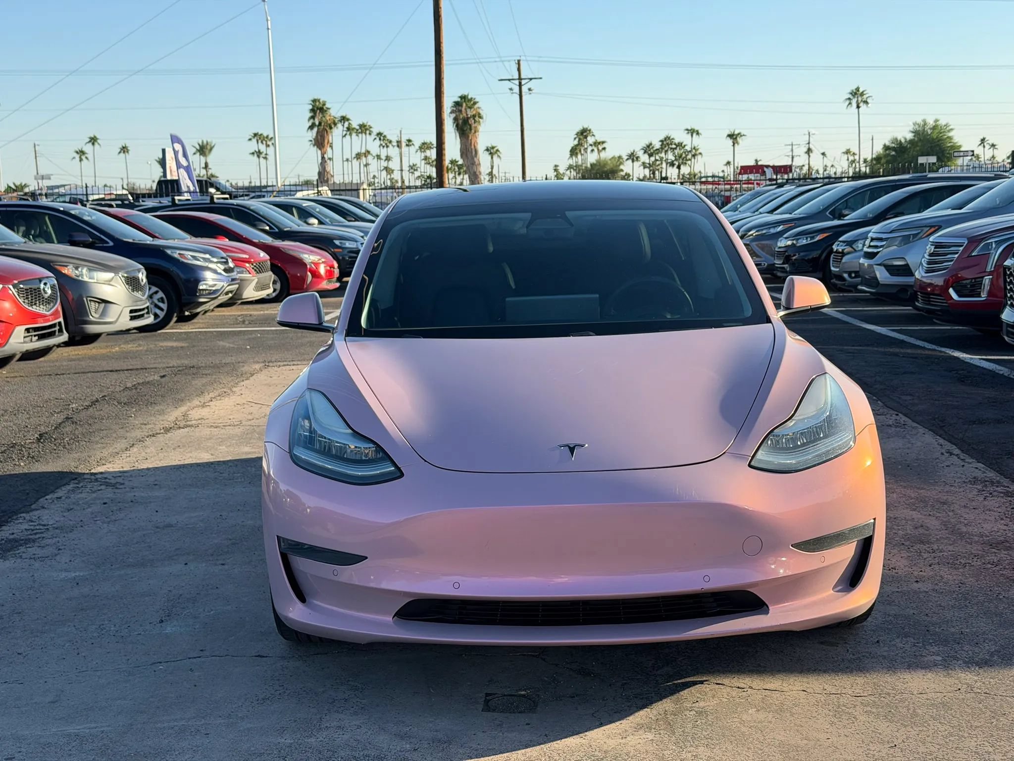 Used 2020 Tesla Model 3 Standard Range Plus RWD image 16