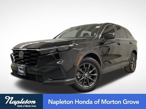 Used 2026 Honda CR-V EX-L image 1