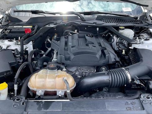 Used 2019 Ford Mustang Premium RWD image 10