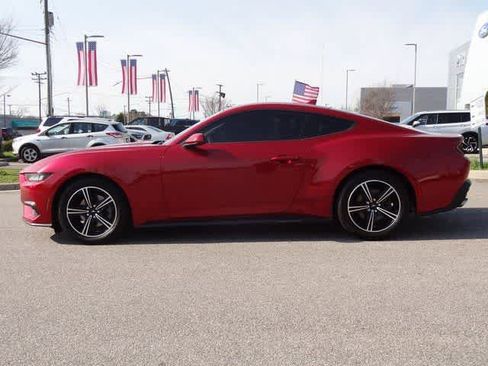 Certified 2024 Ford Mustang EcoBoost image 2