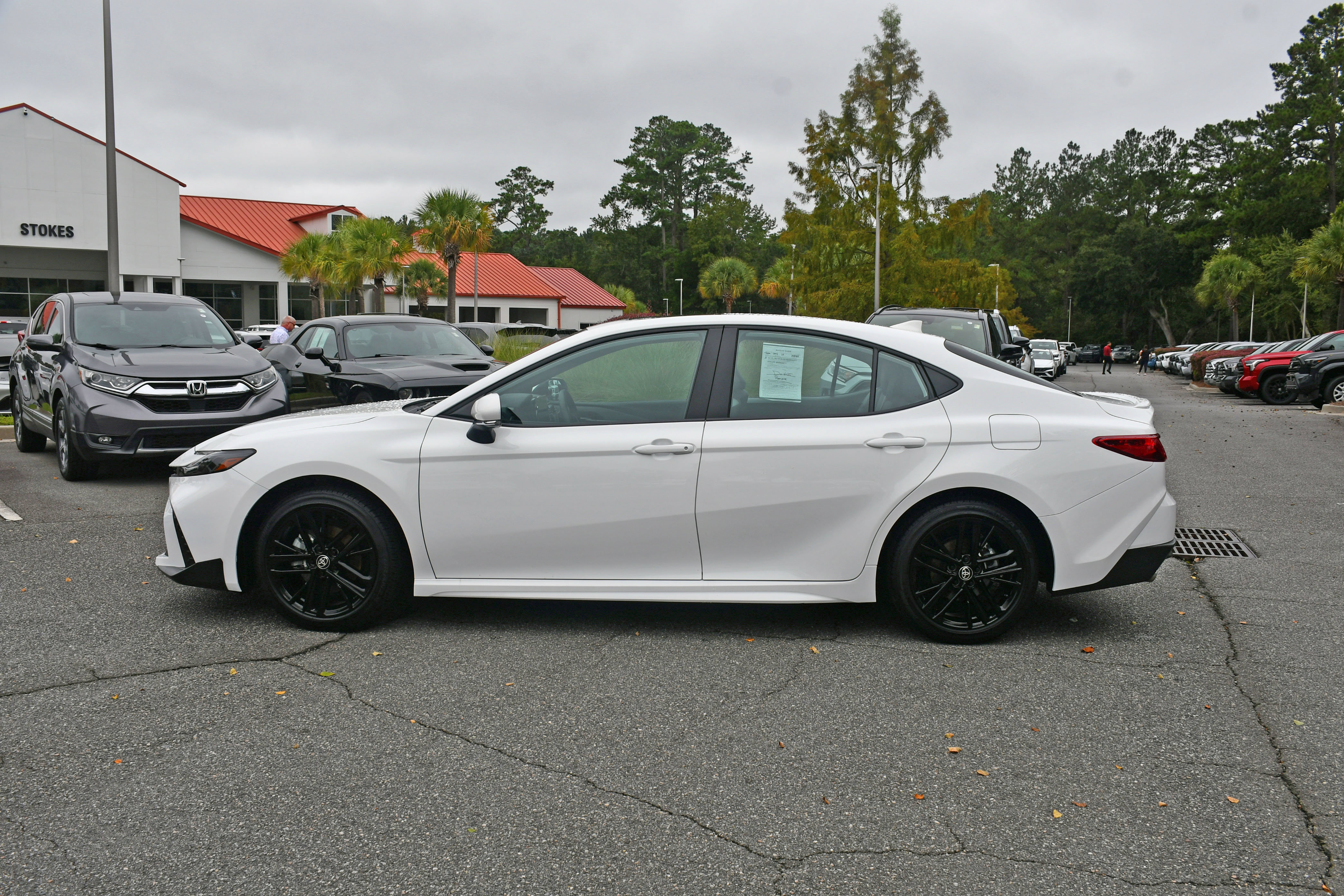 Certified 2026 Toyota Camry SE w/ Multimedia Upgrade Package FWD image 2