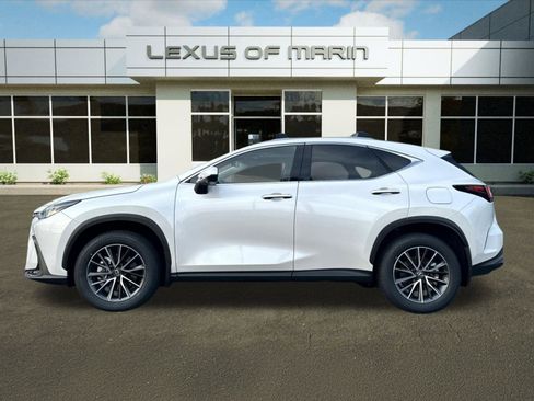 Certified 2025 Lexus NX 350h AWD w/ Cold Area Package image 2