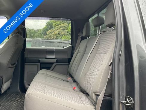 Used 2019 Ford F150 XLT w/ Equipment Group 302A Luxury AWD/4WD image 5