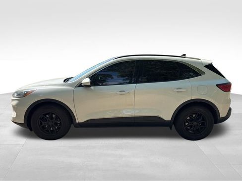Used 2020 Ford Escape SE image 2