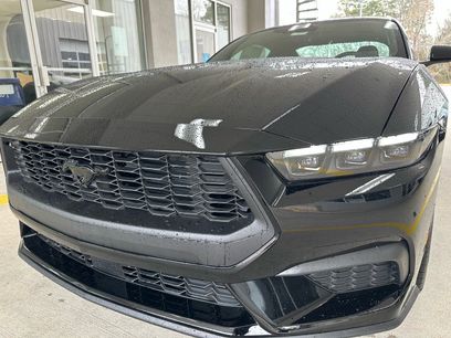 New 2026 Ford Mustang Coupe w/ Mustang Nite Pony Package