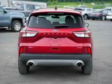 Used 2022 Ford Escape SEL w/ Technology Package image 6