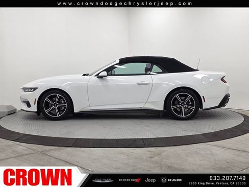 Used 2024 Ford Mustang EcoBoost image 12
